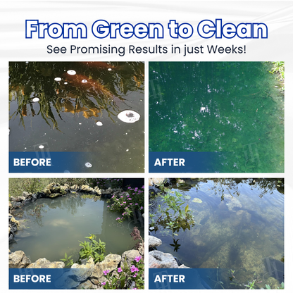 🌊 AEXZR® Aqua-Guardian Pro Formula —Clear Water in 24 Hours, Dual-Bio Algae Control, Safe for All Aquatic Life