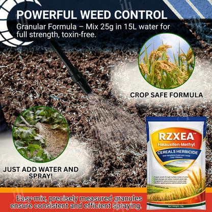 🌾 RZXEA™ Cereals Herbicide —Visible Results in 3 Days, Dual-Action Resistance Management, Broad-Spectrum & Crop-Safe