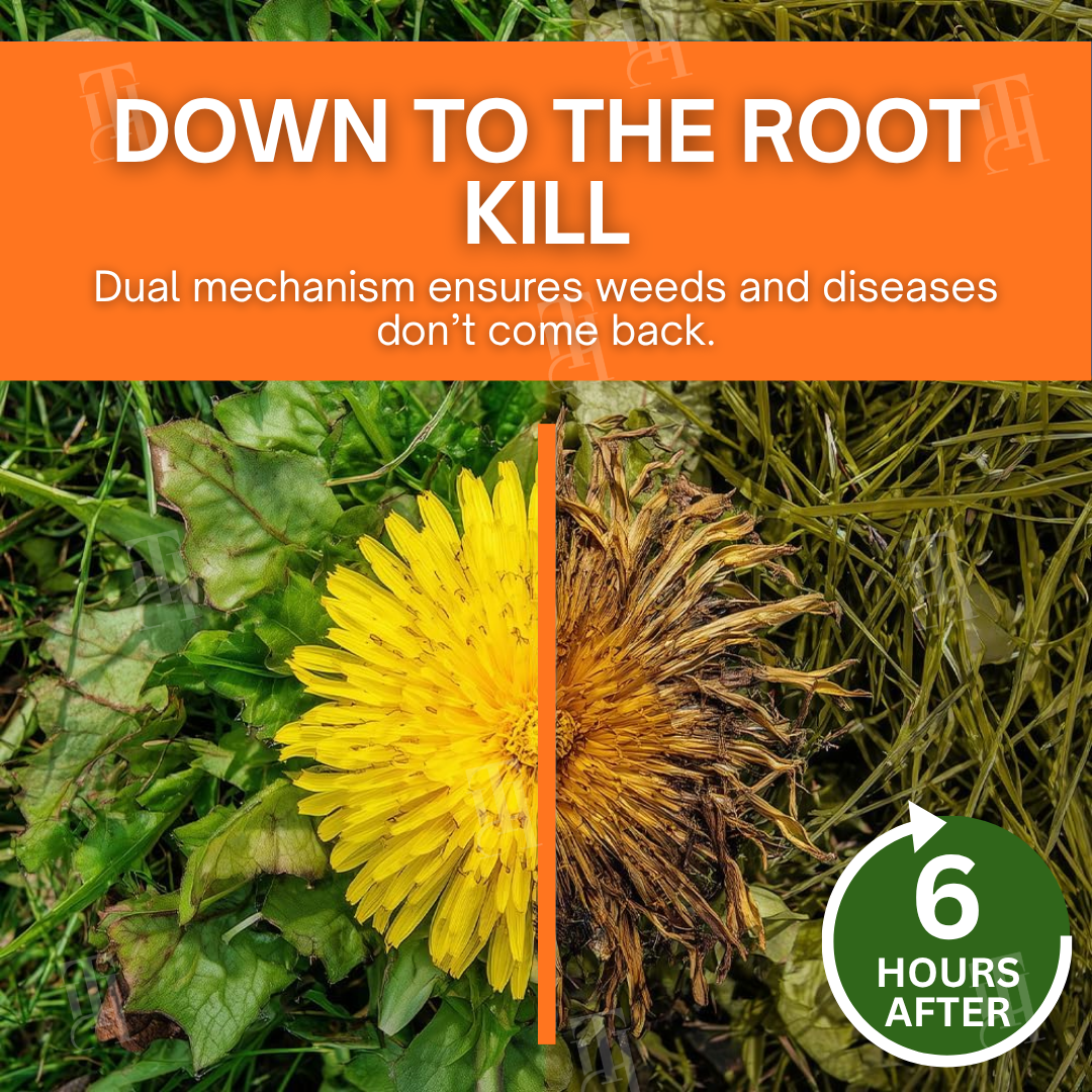 🏆 Professional Dual-Action Herbicide — Kills Toughest Weeds in 6 Hours! Non-Glyphosate Max Strength Formula ✨