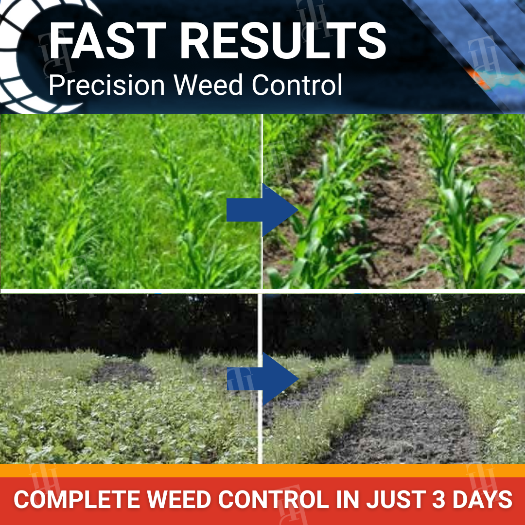 🌾 RZXEA™ Cereals Herbicide —Visible Results in 3 Days, Dual-Action Resistance Management, Broad-Spectrum & Crop-Safe