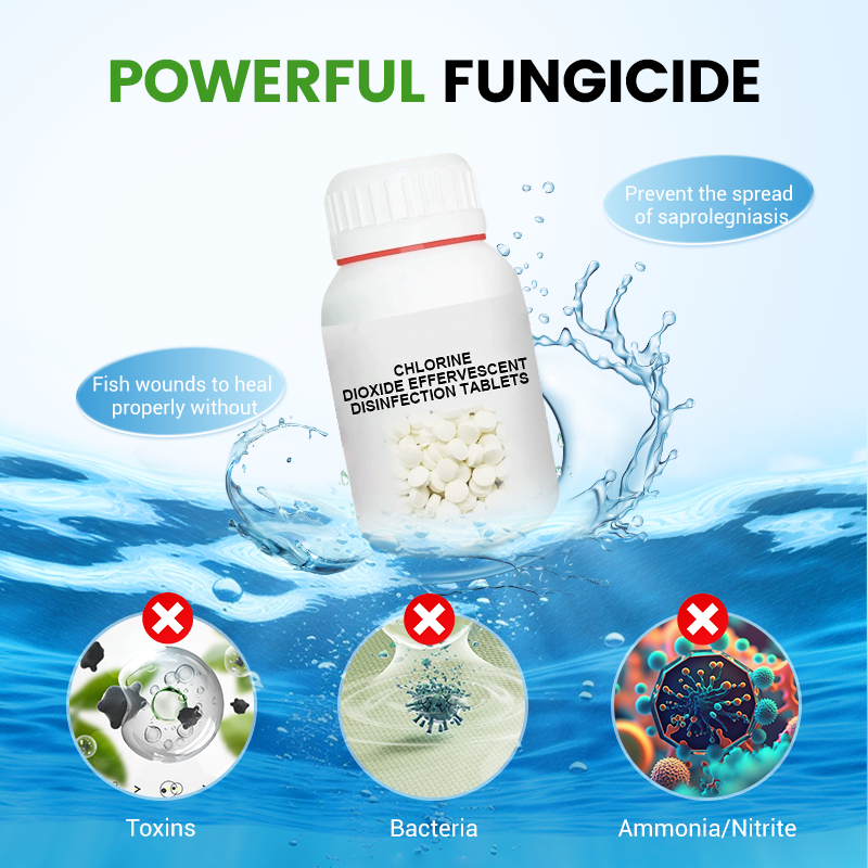 🥳2026 HOT SALE🥳💞50K+ SOLD!💊🌊 50% OFF! Chlorine Dioxide Disinfection Tablets – Kills bacteria, fungi & algae. Restores clear, healthy pond water. 80 tablets/bottle. 🐟✨