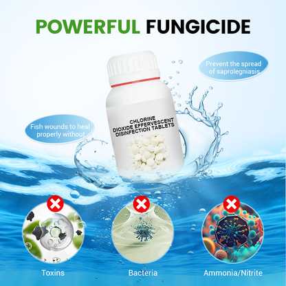 🥳2026 HOT SALE🥳💞50K+ SOLD!💊🌊 50% OFF! Chlorine Dioxide Disinfection Tablets – Kills bacteria, fungi & algae. Restores clear, healthy pond water. 80 tablets/bottle. 🐟✨