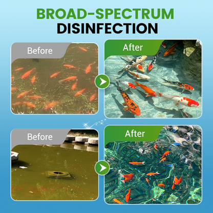 🥳2026 HOT SALE🥳💞50K+ SOLD!💊🌊 50% OFF! Chlorine Dioxide Disinfection Tablets – Kills bacteria, fungi & algae. Restores clear, healthy pond water. 80 tablets/bottle. 🐟✨