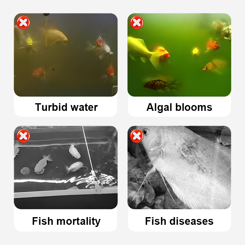 🥳2026 HOT SALE🥳💞50K+ SOLD!💊🌊 50% OFF! Chlorine Dioxide Disinfection Tablets – Kills bacteria, fungi & algae. Restores clear, healthy pond water. 80 tablets/bottle. 🐟✨