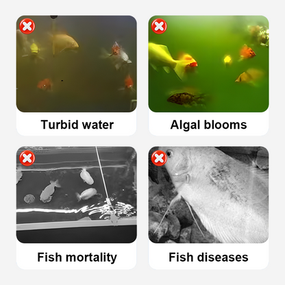 🥳2026 HOT SALE🥳💞50K+ SOLD!💊🌊 50% OFF! Chlorine Dioxide Disinfection Tablets – Kills bacteria, fungi & algae. Restores clear, healthy pond water. 80 tablets/bottle. 🐟✨