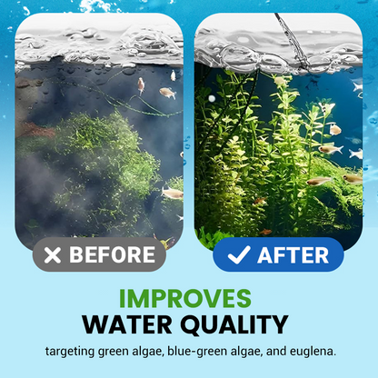 🥳2026 HOT SALE🥳💞50K+ SOLD!💊🌊 50% OFF! Chlorine Dioxide Disinfection Tablets – Kills bacteria, fungi & algae. Restores clear, healthy pond water. 80 tablets/bottle. 🐟✨